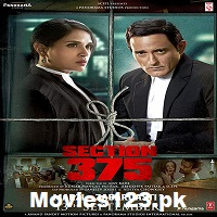 Section 375 2019 Hindi Film