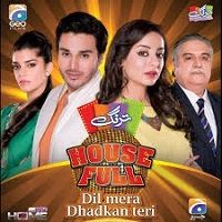 Dil Mera Dharkan Teri 2013 Urdu Pakistani Film 123movies