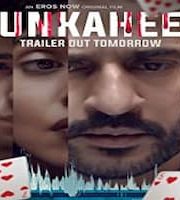 Unkahee 2020 Hindi 123movies