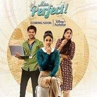 Miss Perfect 2024 Hindi Season 1