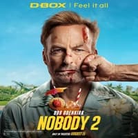 Nobody 2 Hindi Dubbed