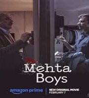 The Mehta Boys 2024