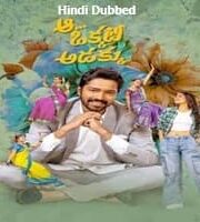 Aa Okkati Adakku Hindi Dubbed