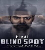 Blind Spot Hindi Dubbed