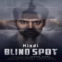 Blind Spot Hindi Dubbed